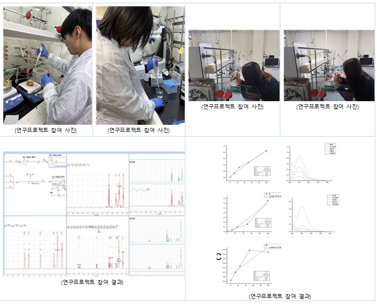 2025 화학신소재학과 얼리-버드 특화프로그램 연구프로젝트 참여 장학생 운영 대표이미지